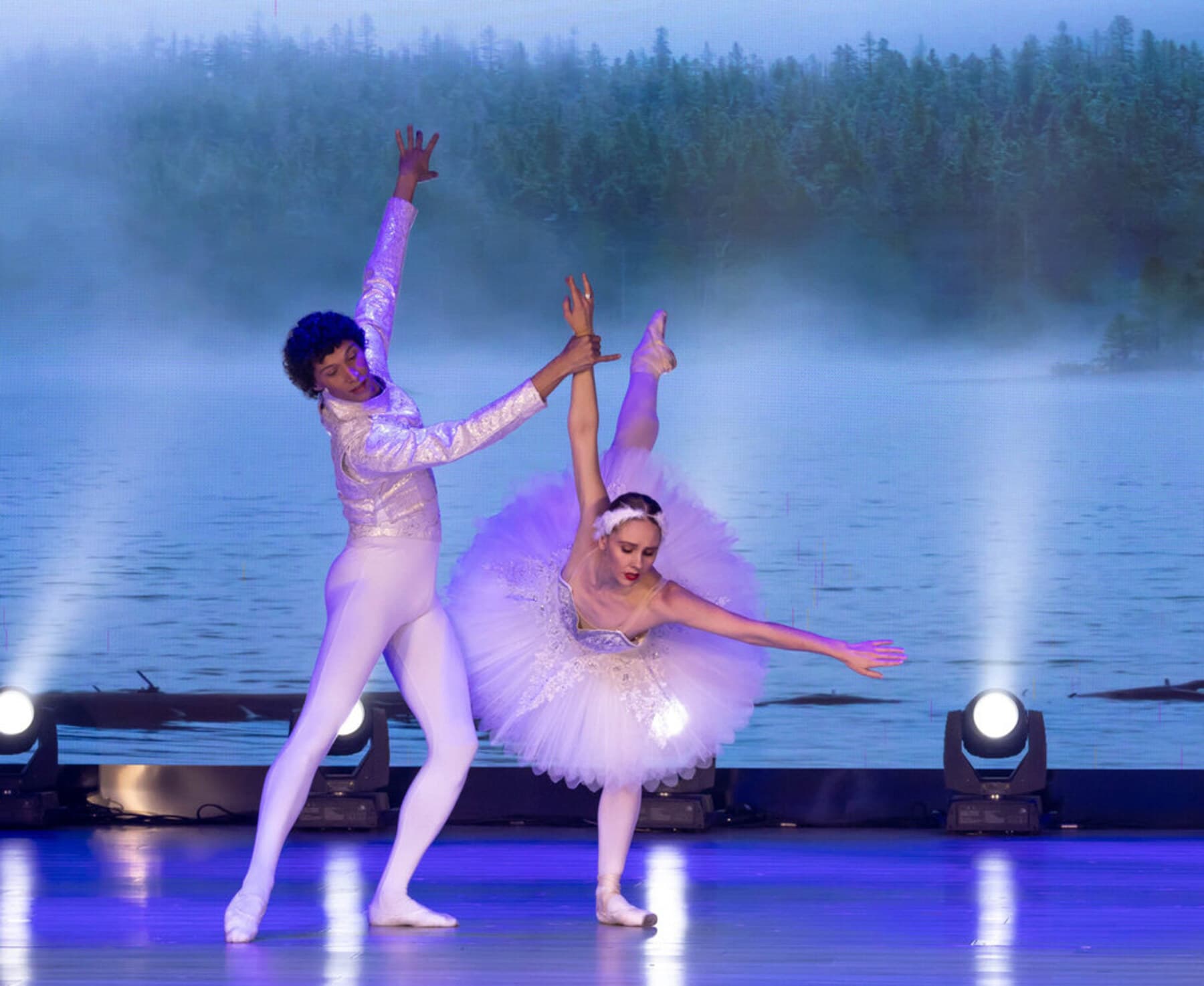 Swan Lake, misty lake projection